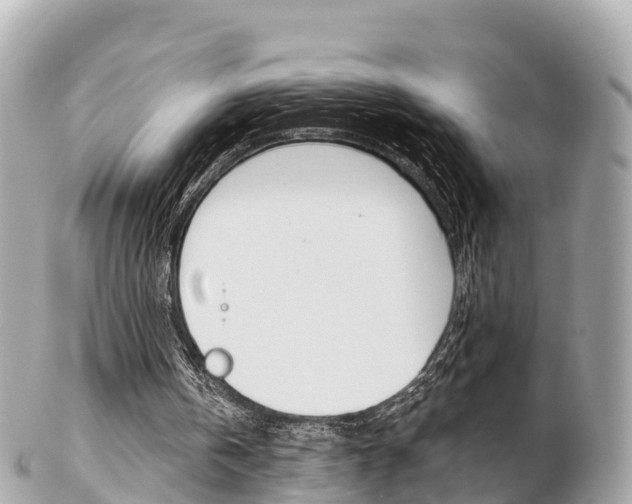 X0000103310146200808291200