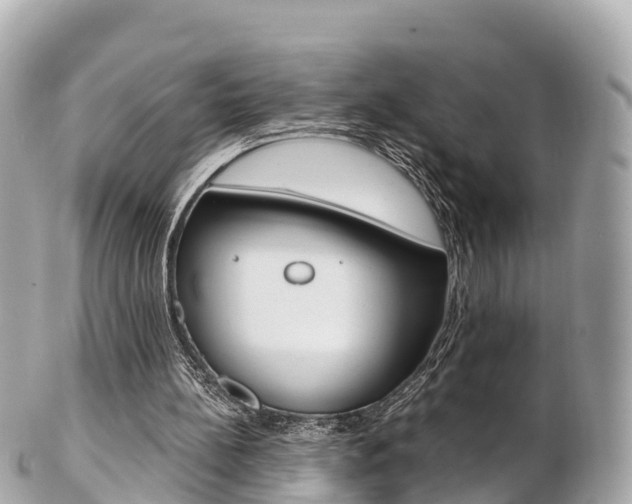X0000103310148200808291200