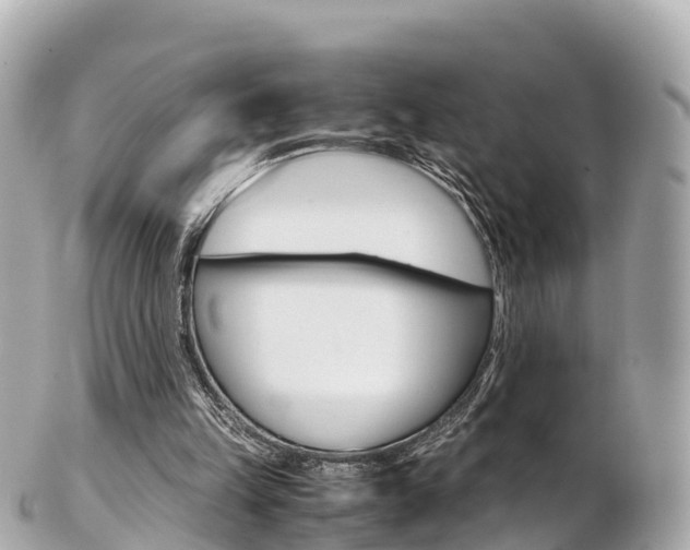 X0000103310149200808291200