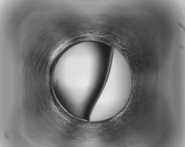 X0000103310150200808291200