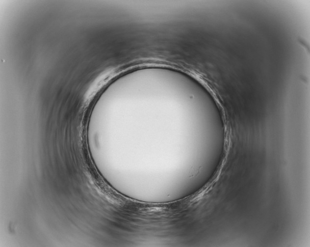 X0000103310151200808291200
