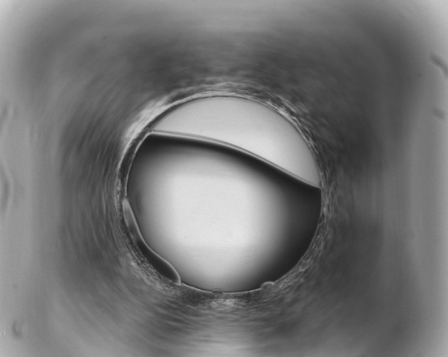 X0000103310152200808291200