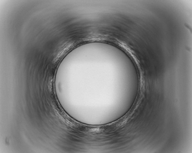 X0000103310153200808291200