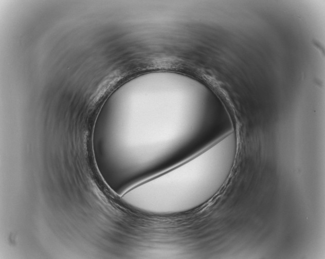 X0000103310154200808291200