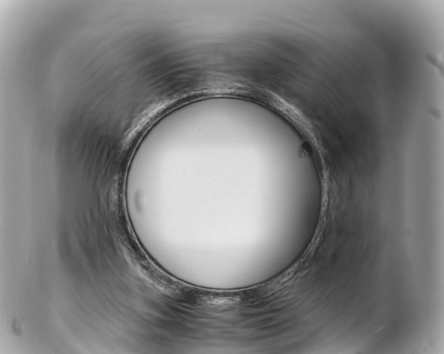 X0000103310155200808291200