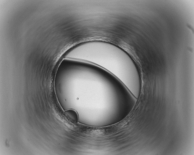 X0000103310156200808291200