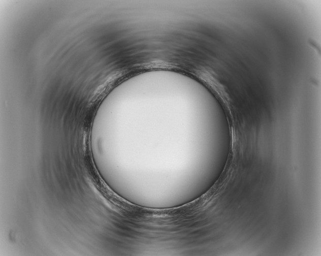 X0000103310157200808291200