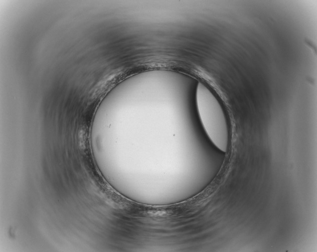 X0000103310161200808291200