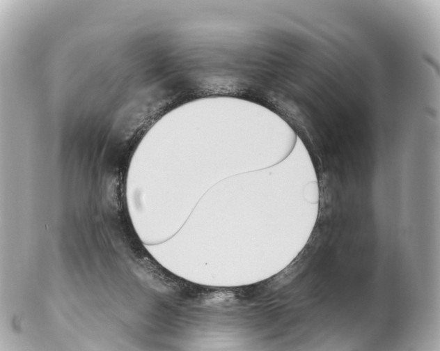 X0000103310162200808291200