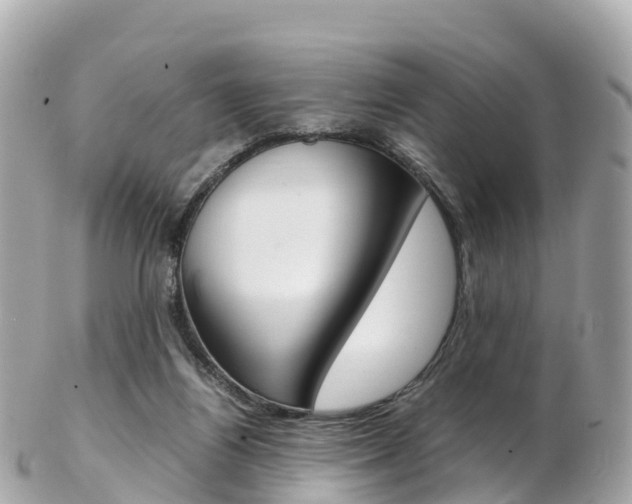 X0000103310164200808291200