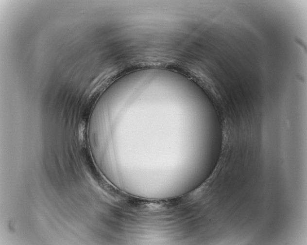 X0000103310166200808291200