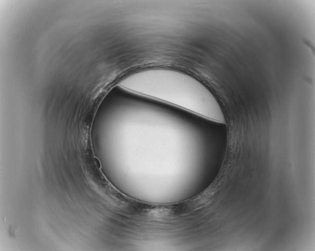 X0000103310168200808291200