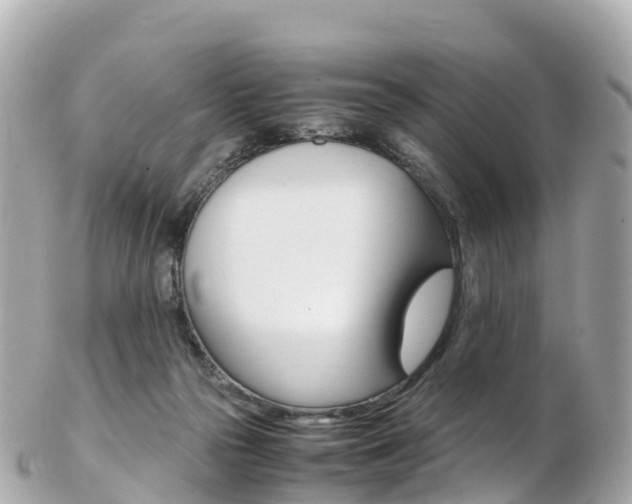 X0000103310169200808291200