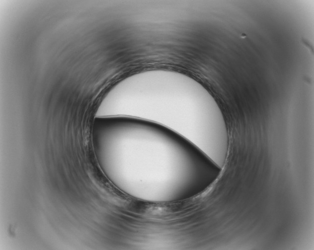 X0000103310174200808291200