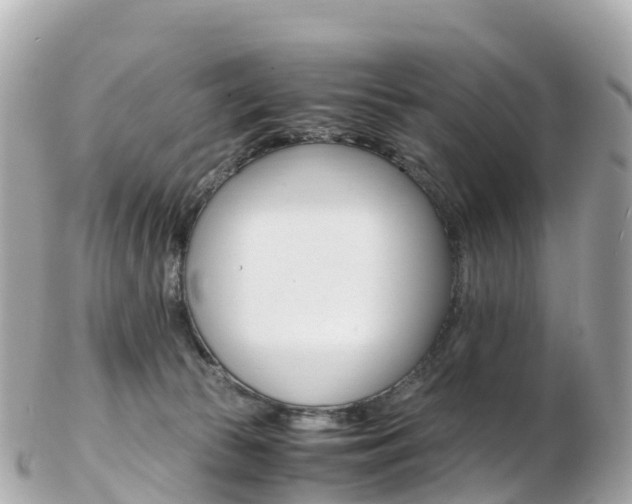 X0000103310177200808291200
