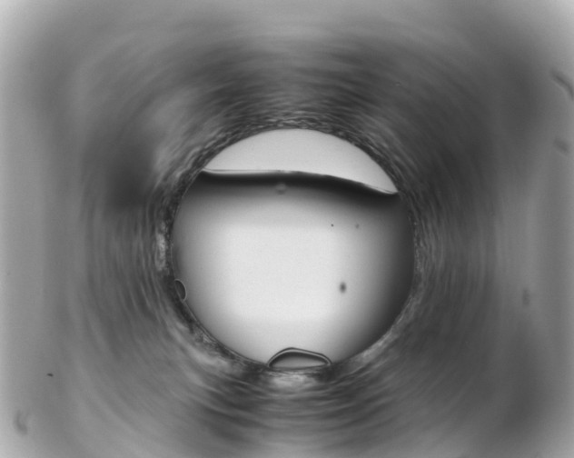 X0000103310183200808291200
