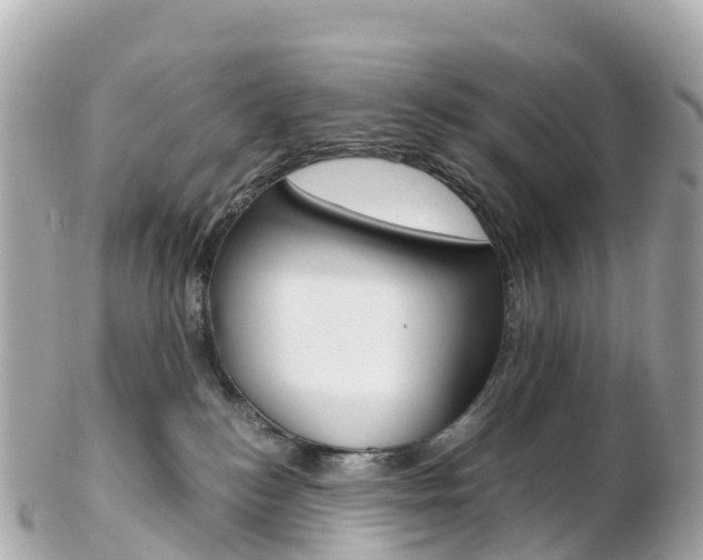 X0000103310184200808291200