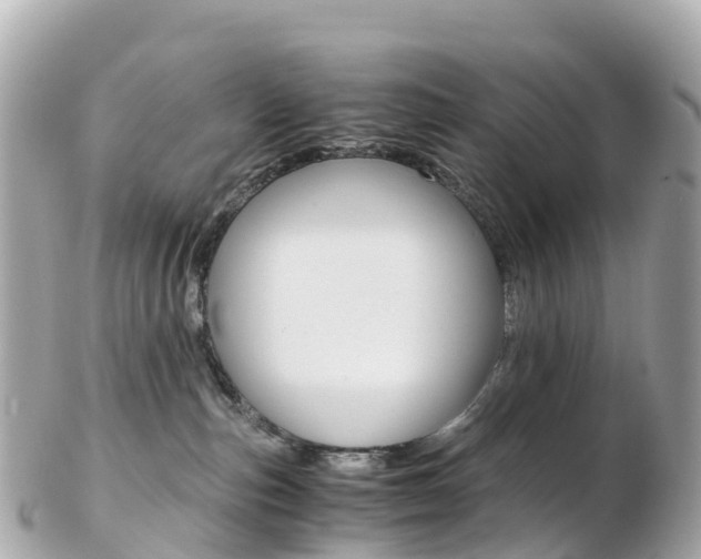 X0000103310187200808291201