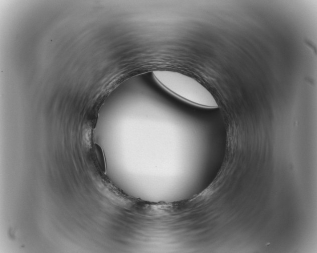 X0000103310188200808291201