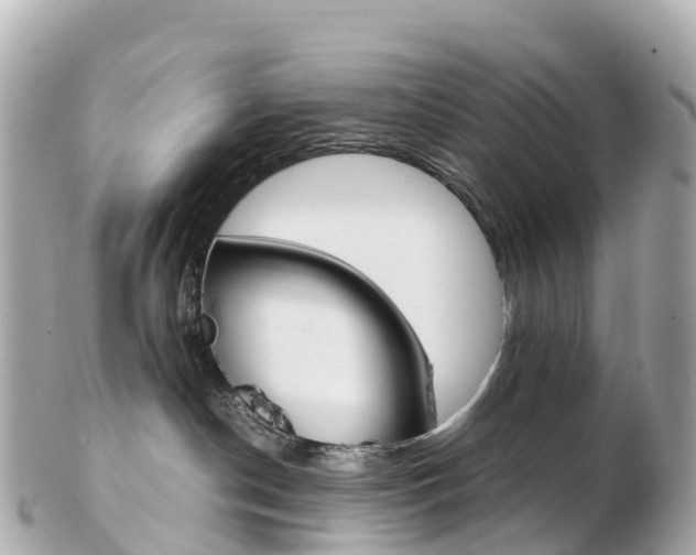 X0000103310190200808291201