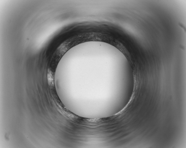 X0000103310191200808291201