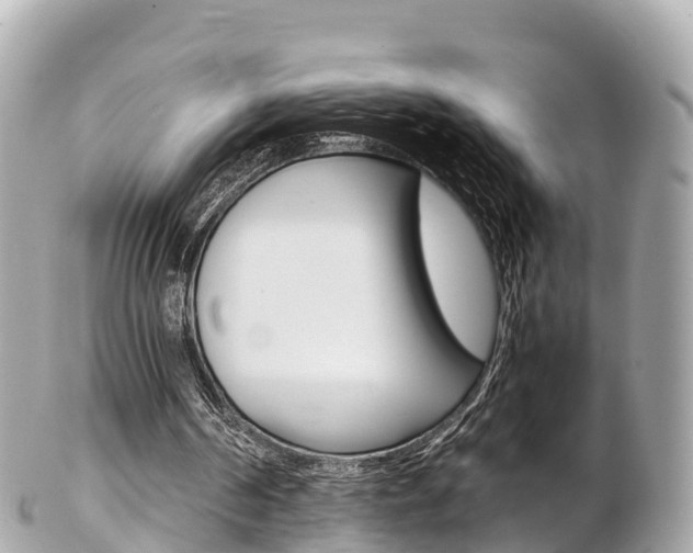 X0000103310194200808291200