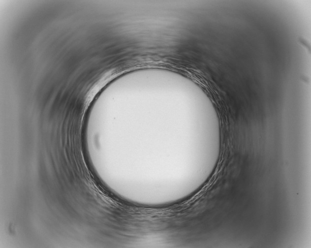 X0000103310195200808291200