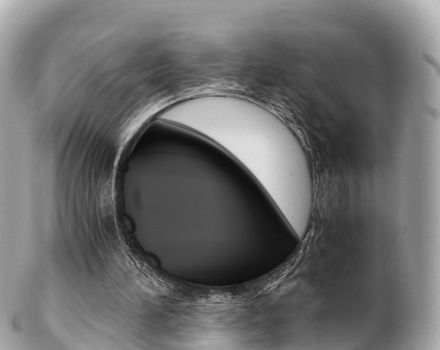 X0000103310196200808291200