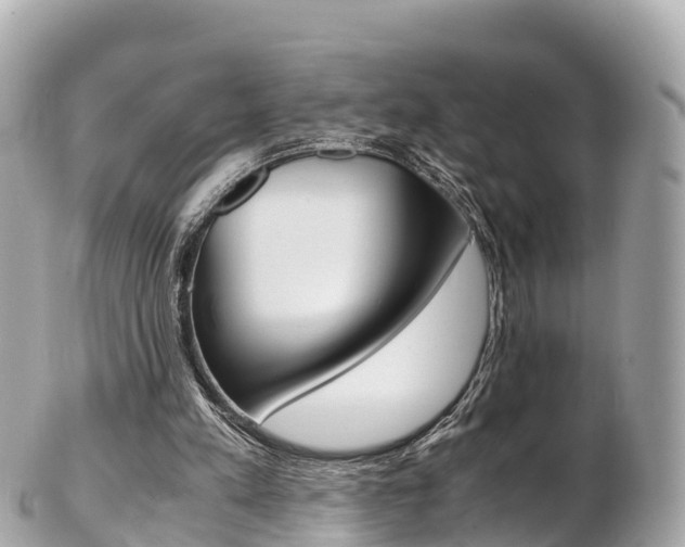 X0000103310197200808291200