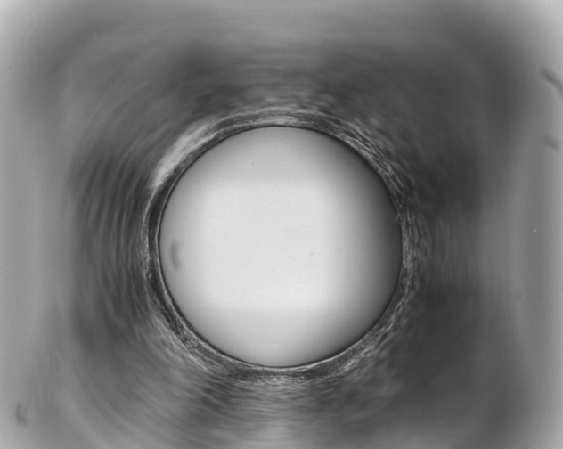 X0000103310198200808291200