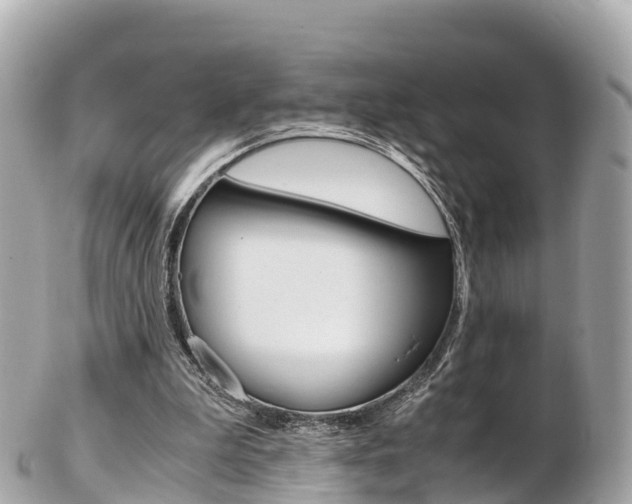X0000103310199200808291200