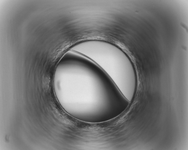 X0000103310201200808291200
