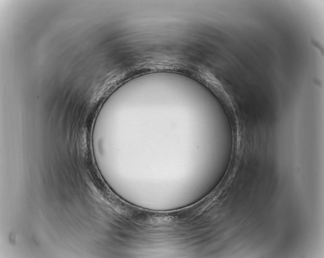 X0000103310202200808291200