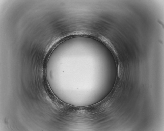 X0000103310204200808291200