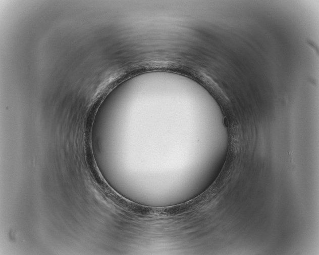 X0000103310207200808291200