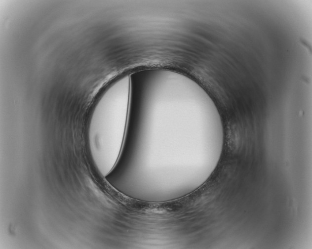 X0000103310208200808291200