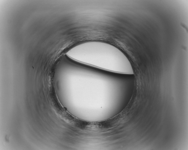 X0000103310211200808291200