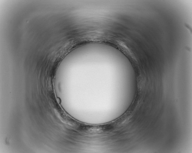 X0000103310213200808291200