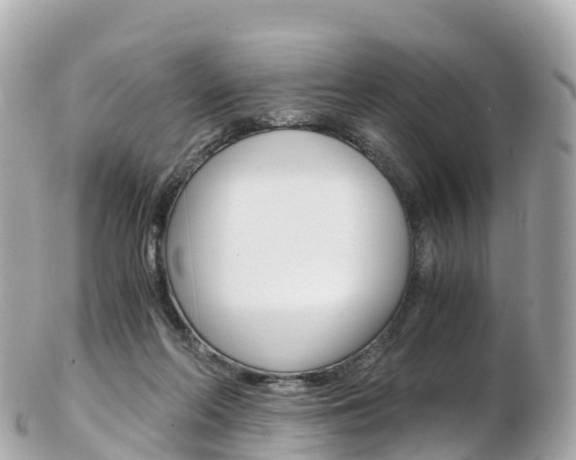 X0000103310214200808291200