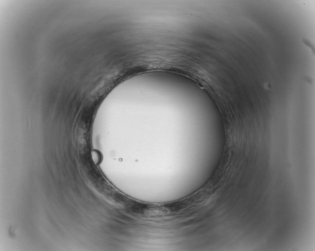X0000103310215200808291200
