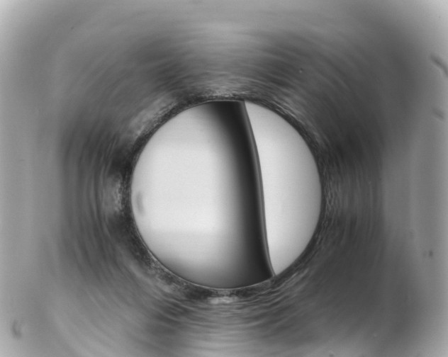 X0000103310216200808291200