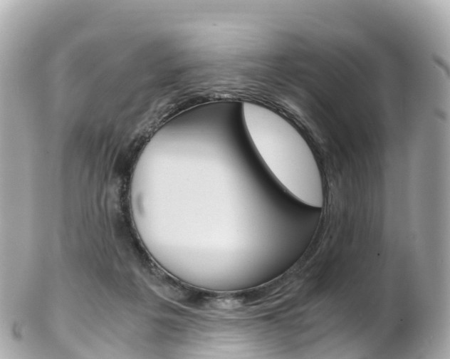 X0000103310217200808291159