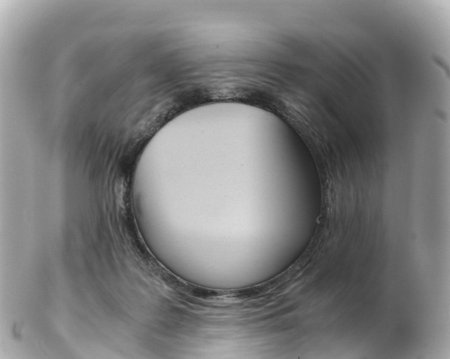 X0000103310219200808291159