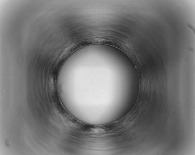 X0000103310220200808291159