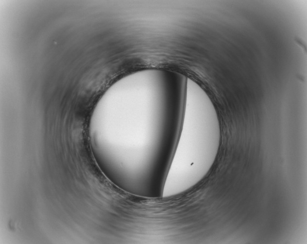 X0000103310221200808291159