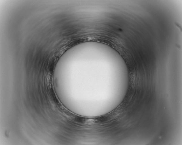 X0000103310222200808291159