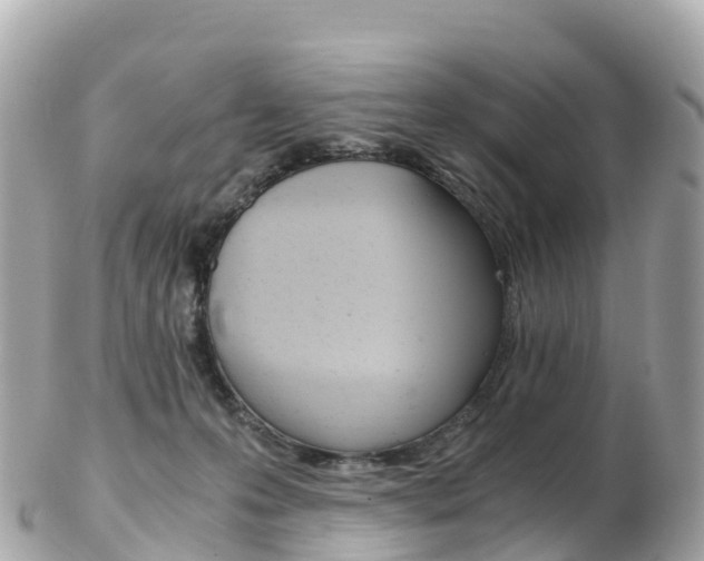 X0000103310223200808291159