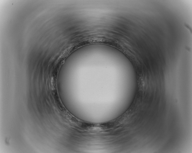 X0000103310224200808291159