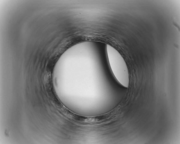 X0000103310225200808291159