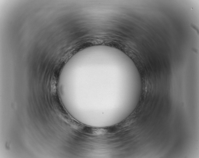 X0000103310226200808291159